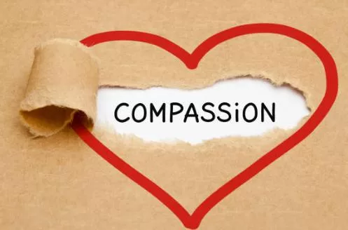 Here are some ways self compassion might be applied to self improvement